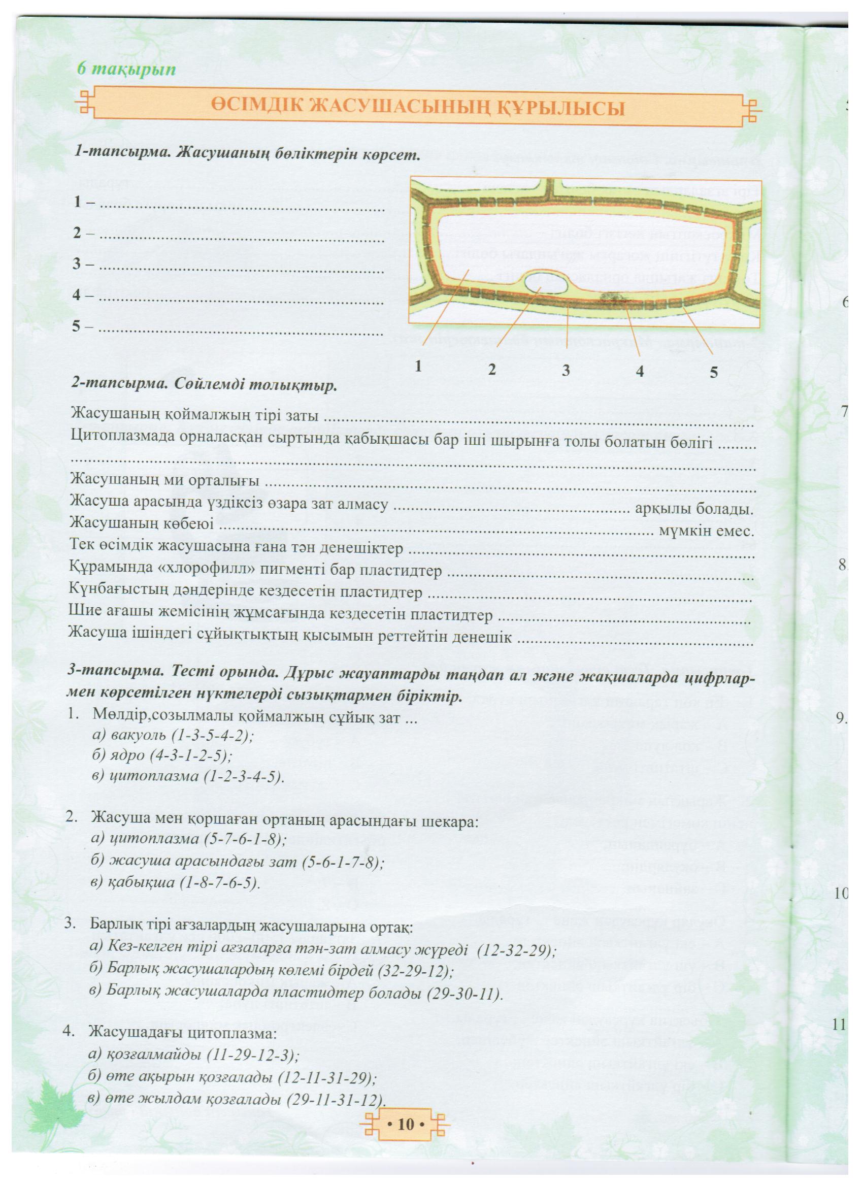 Жасуша-өсімдік организмінің негізгі құрылым бірлігі. Өсімдік жасушасының құрылысы: