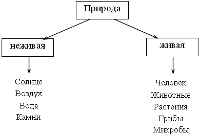 Природа схема. Схема живой и неживой природы. Схема живой и неживой природы 2 класс окружающий мир. Схема Живая и неживая природа 1 класс. Схема живой и неживой природы 5 класс.