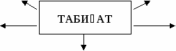 Разработка по казахскому языку на тему Қоршаған орта