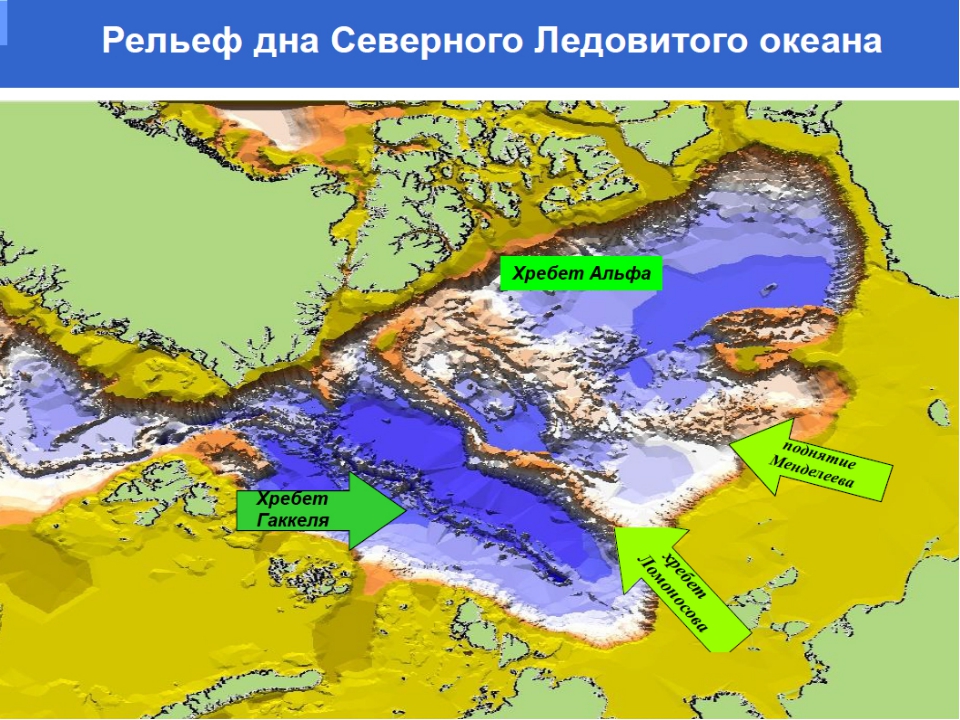 Конспект урока Арктика - фасад России