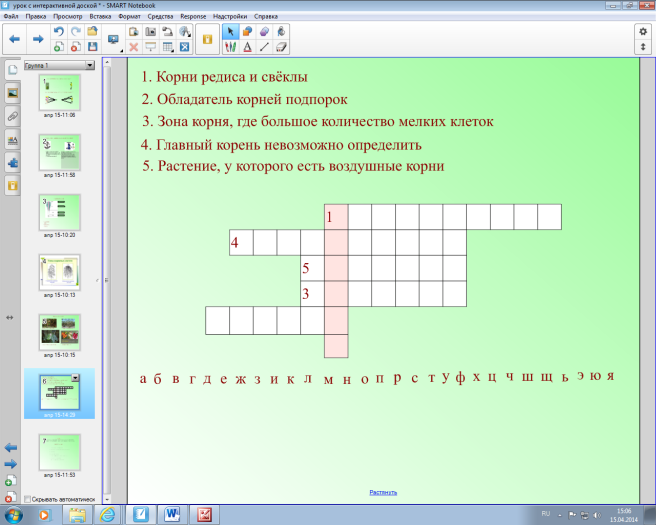 План - конспект по биологии Органы растений. Корень (6 класс)