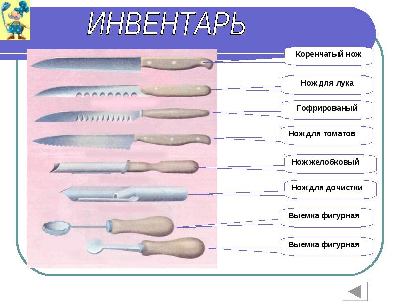 Учебное пособие по повару для дополнительного образования часть 1