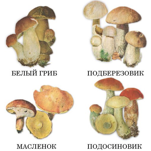 Учебное пособие по повару для дополнительного образования часть 1