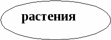 Урок по познанию мира Влаголюбивые и засухоустойчивые растения (3 класс)