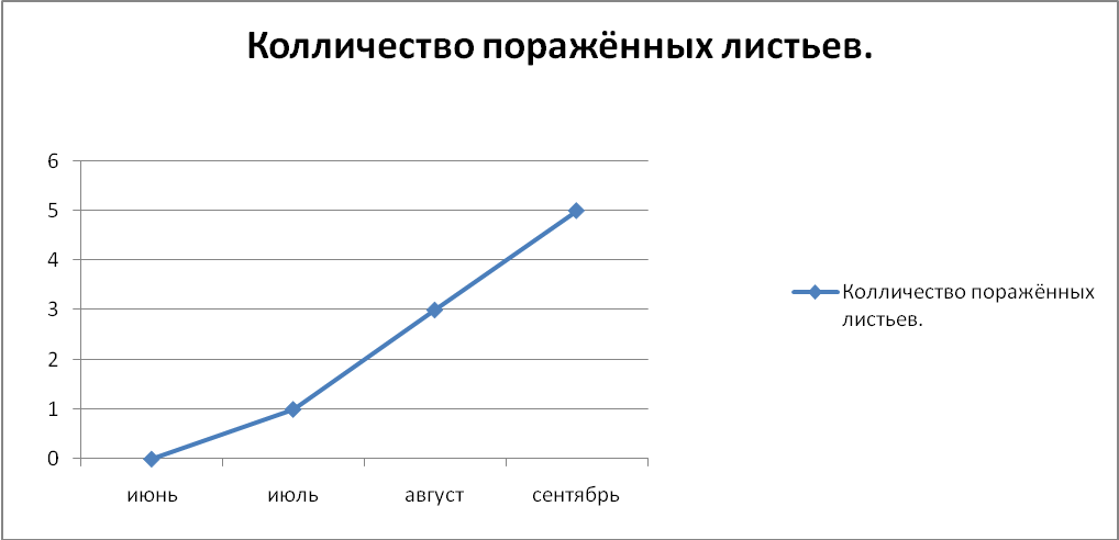 Конспект исследовательской работыМучнистая роса