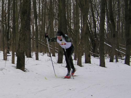 Обучение классическим лыжным ходам.
