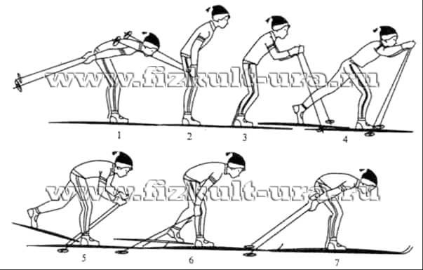 Обучение классическим лыжным ходам.