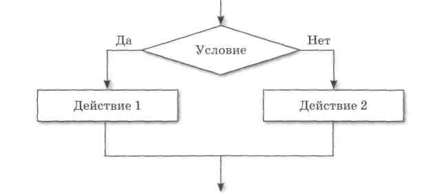 Разветвляющиеся алгоритмы (Информатика, 6 класс)