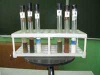 Разработка лабораторной работы Химический состав клетки (11-10 класс)