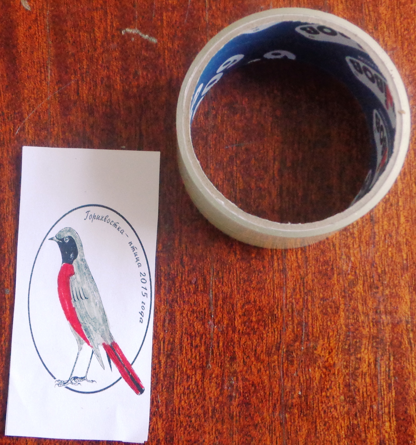 Учебное занятие Горихвостка - птица 2015 года
