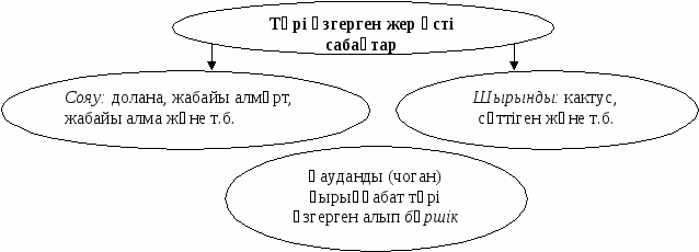 Тірі ағзалар, қасиеттері, маңызы