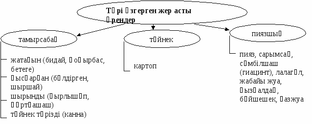 Тірі ағзалар, қасиеттері, маңызы