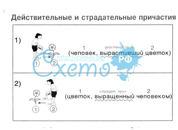 Памятка по русскому языку Лингвистическое портфолио (5-8 класс)