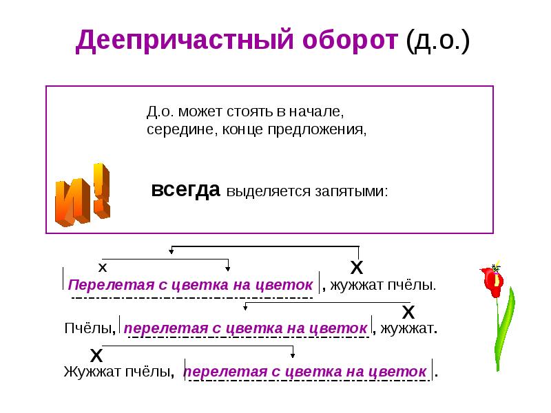 Памятка по русскому языку Лингвистическое портфолио (5-8 класс)