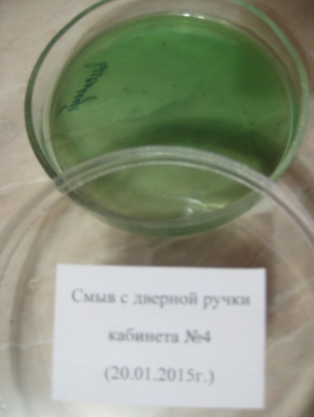 Исследовательская работа «Бактерии школьной среды БОУ «Тарская СОШ №5»