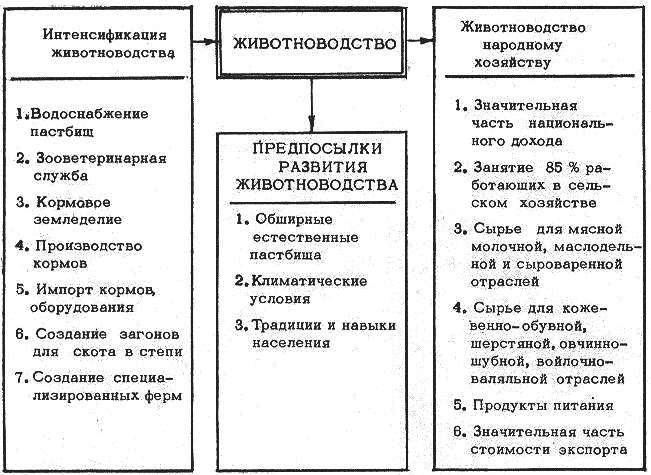 Материал для подготовке к региональному этапу по географии