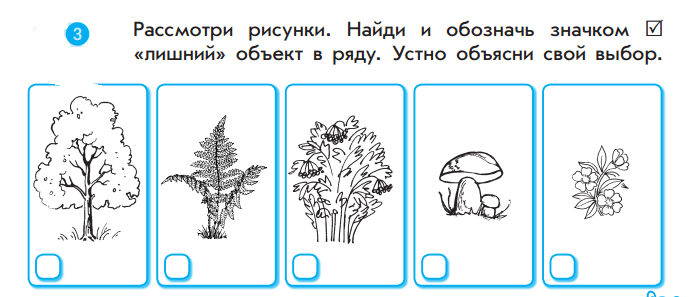 Проверочная работа по окружающему миру. Тема: Живая и неживая природа, Части растения