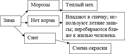 Окружающий мир «В гости к зиме»