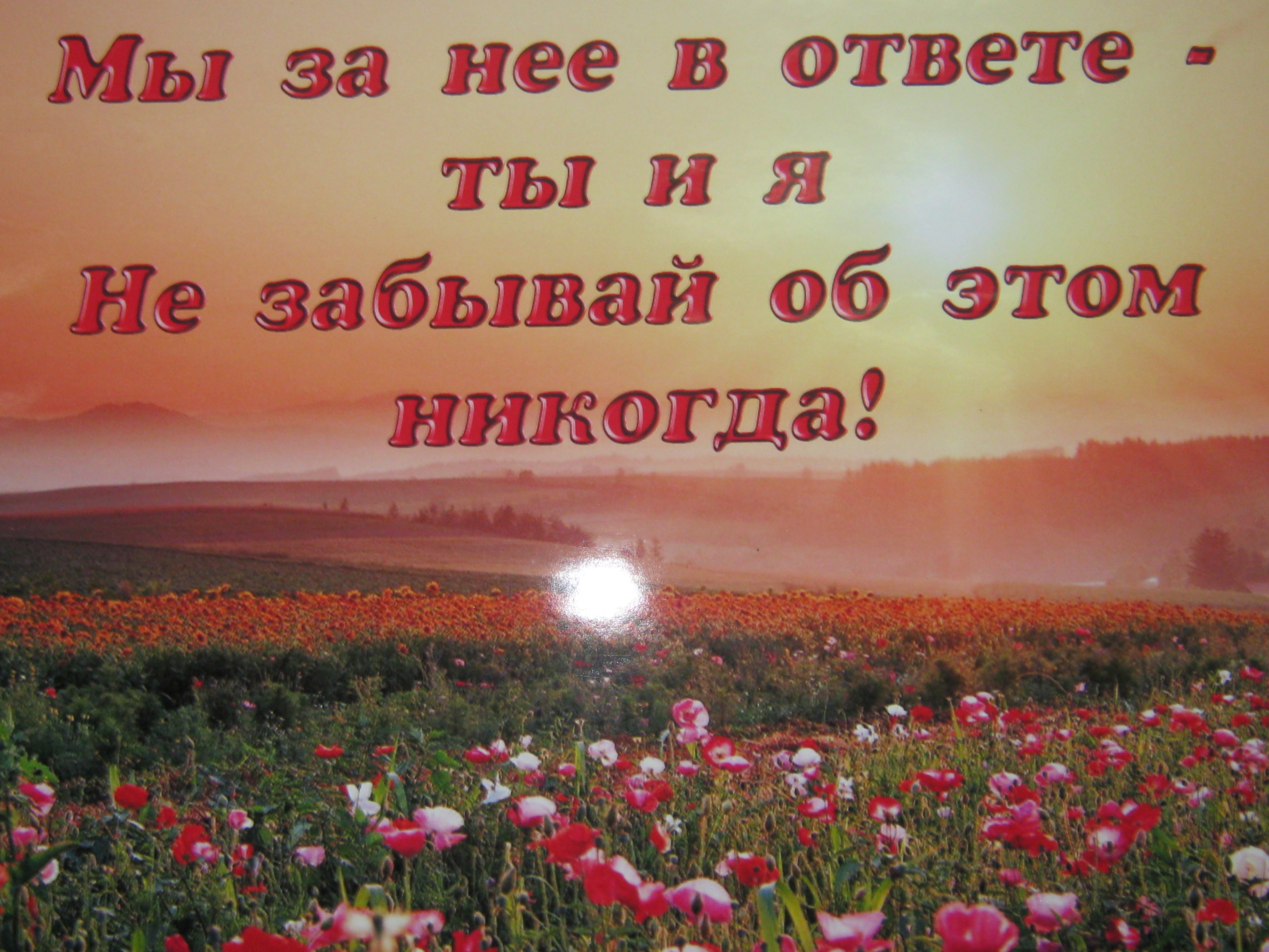 Экологическая викторина на тему: Береги природу