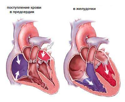 Шығармашылық есеп. Шығармашылық есепте жасалған баяндама, мұғалімнің жетістіктері туралы. Баяндама.