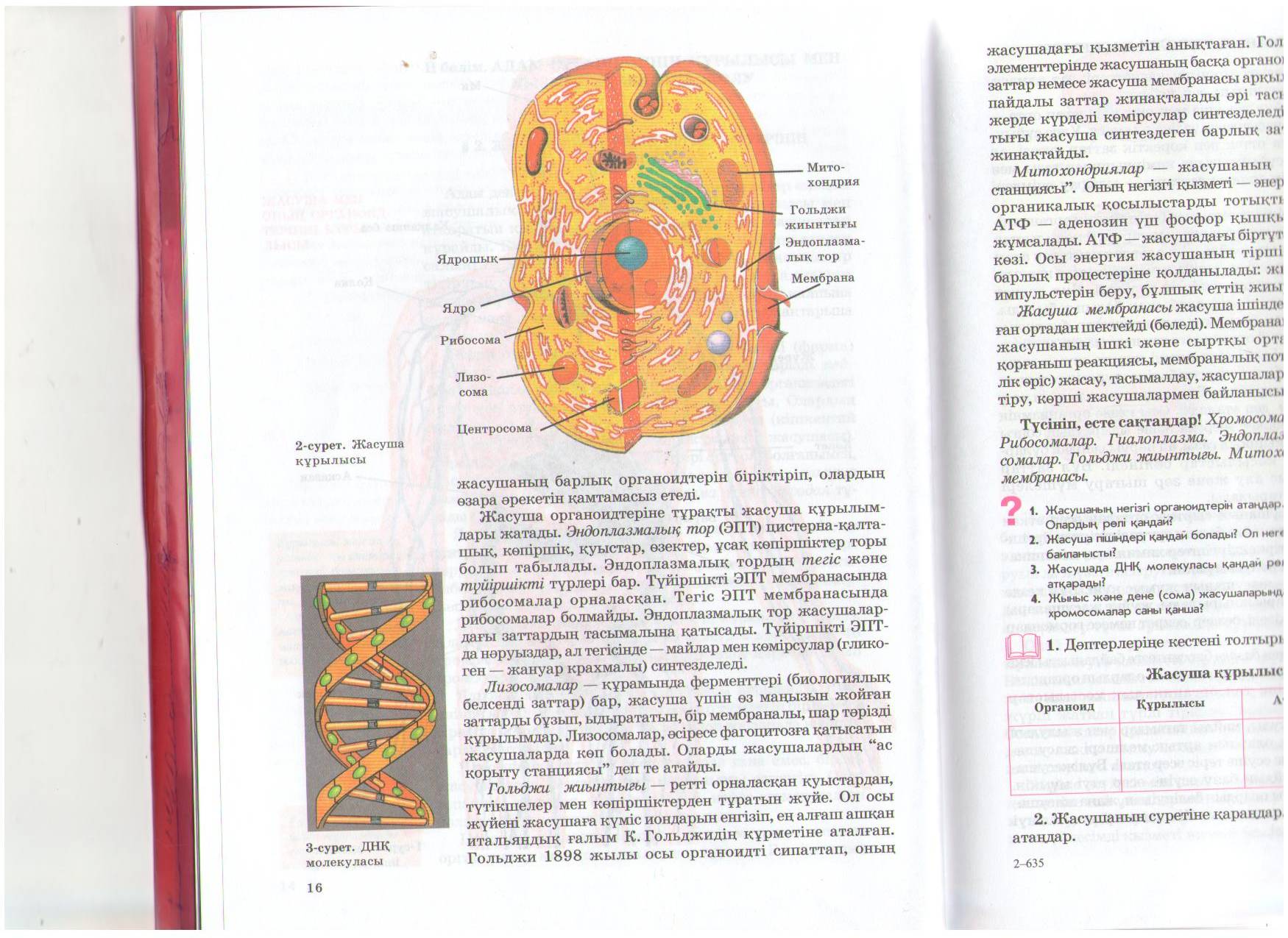 Сырлы әлемге саяхат