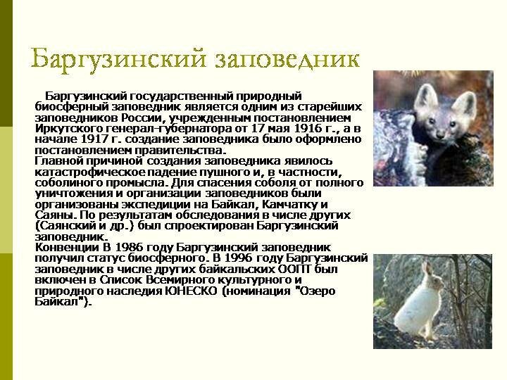 Заповедники. Особо охраняемые природные территории России. 8 класс