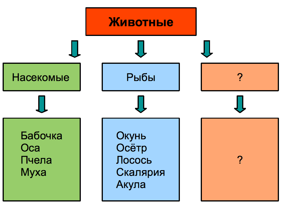 Конспект урока: Кто такие птицы? (1 класс)