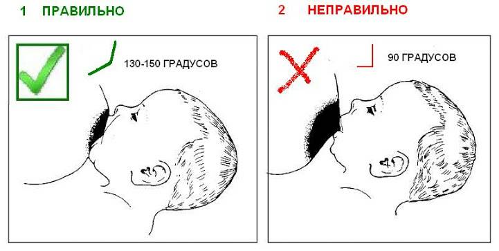 Методическая разработка Вскармливание детей первого года жизни