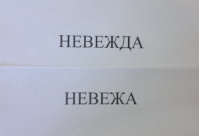 План-конспект урока Существительное общего рода