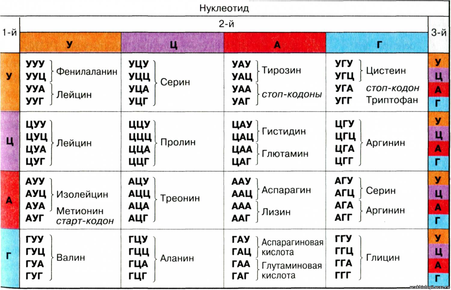 Методические рекомендации по выполнению лабораторных работ и проведению практических занятий по биологии в организациях среднего профессионального образования естественнонаучного профиля