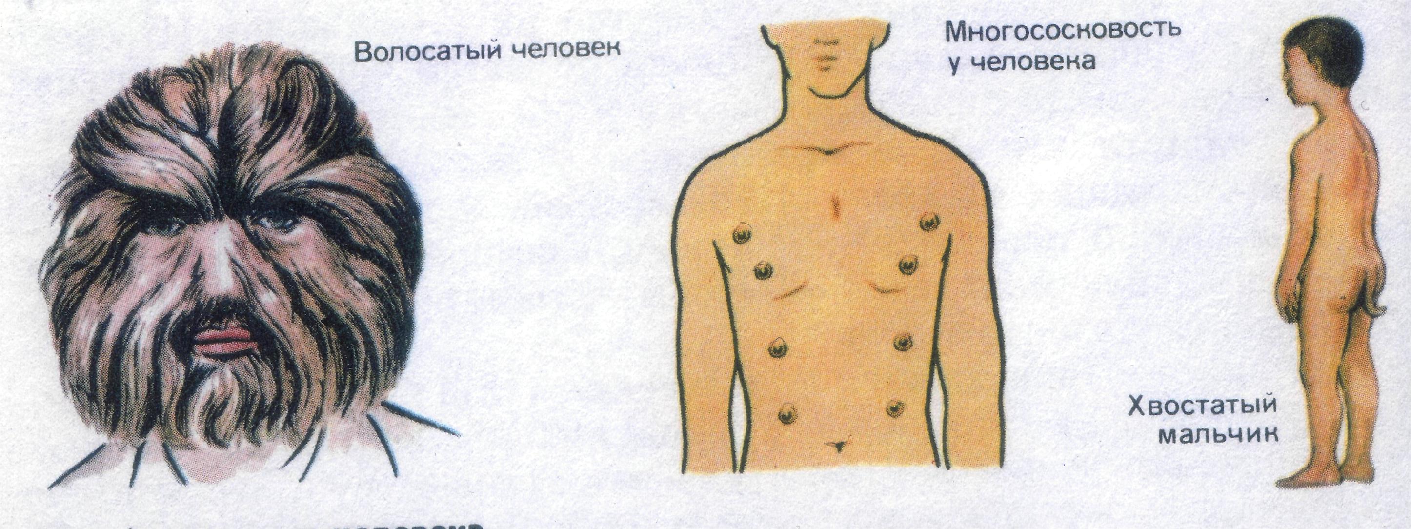 Методические рекомендации по выполнению лабораторных работ и проведению практических занятий по биологии в организациях среднего профессионального образования естественнонаучного профиля