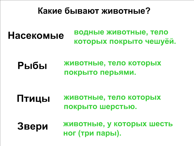 Технологическая карта урока окружающий мир 3 класс организм человека