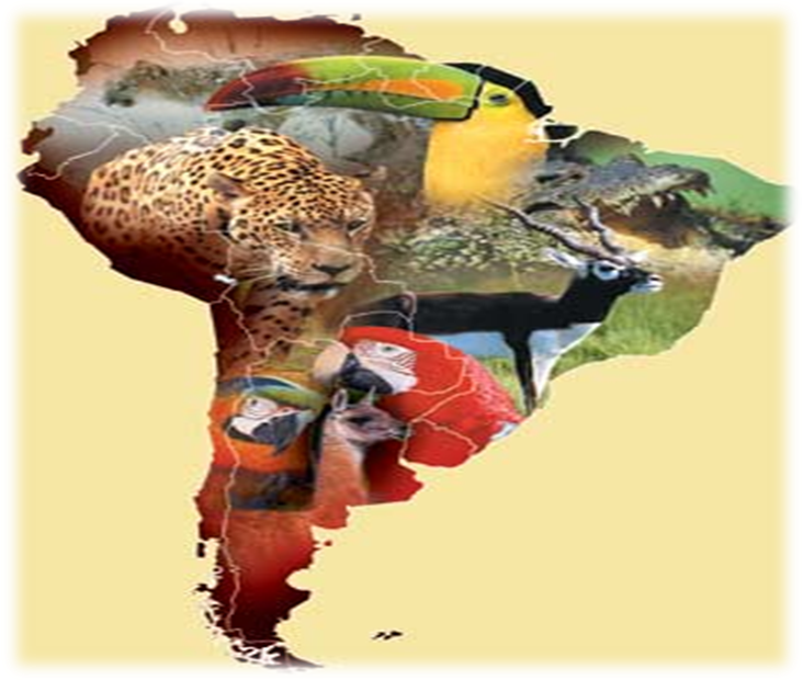 Урок по географии на тему Южная Америка