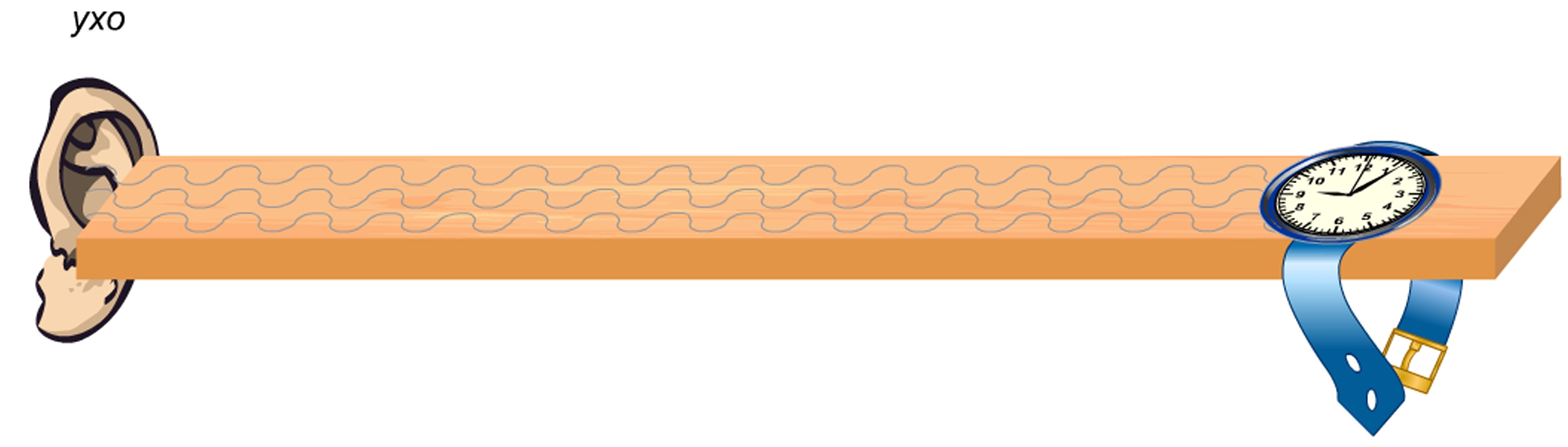 Звук watch. Звуковые волны линейка. Распространение звука в древесине. Колебания линейки. Опыт с распространением звука.