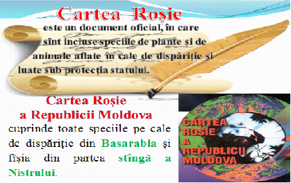 PROIECT DIDACTIC LA LIMBA ROMÂNĂ Сartea Roşie