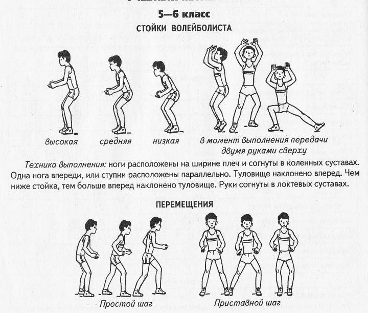 Какой должна быть исходная стойка игрока. Стойка и перемещение игрока в волейболе. Стойки и перемещения в волейболе. Волейбол стойки и перемещения в волейболе. Техника стойки и перемещения в волейболе.