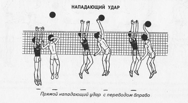 Моменты нападающего удара в волейболе