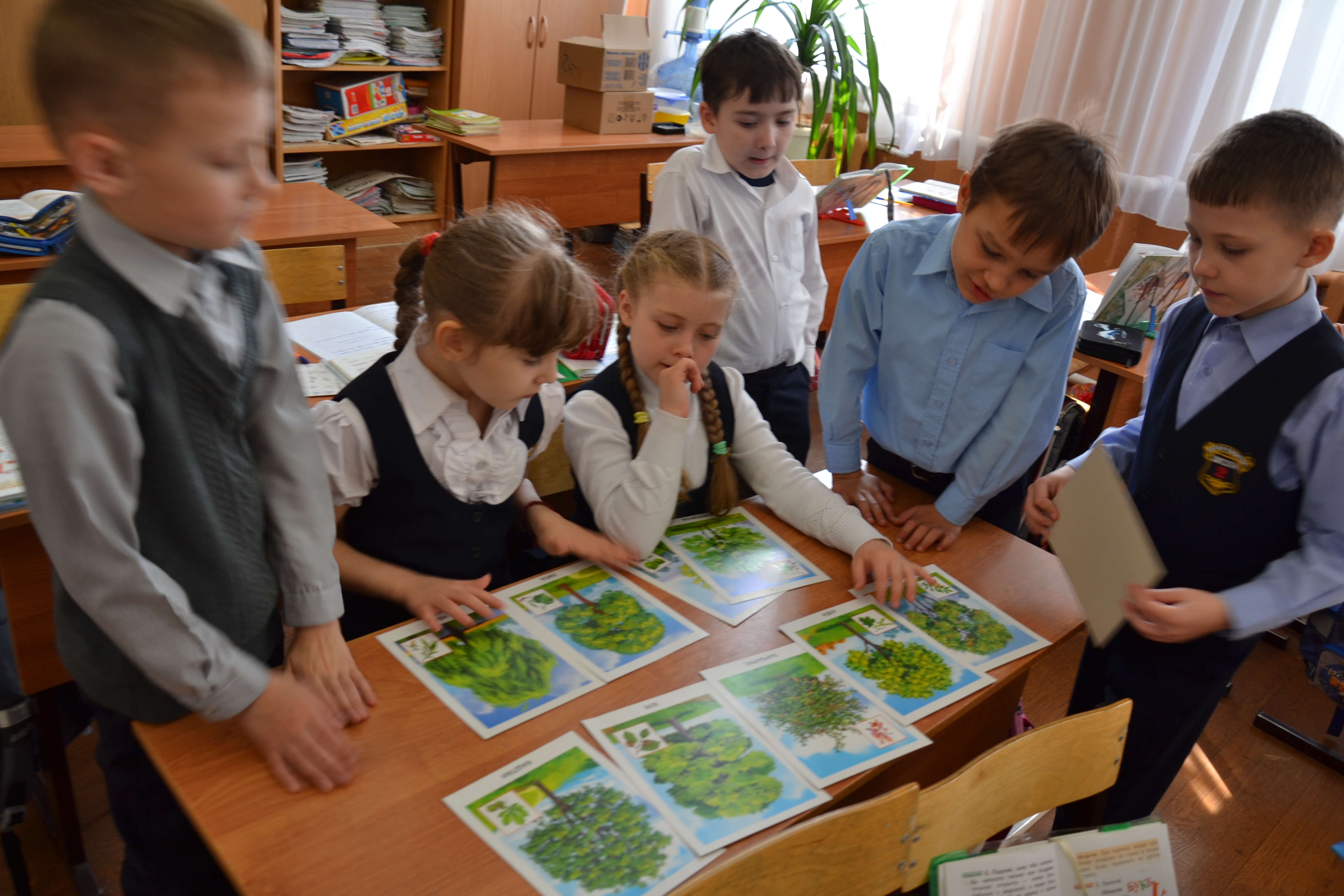 Урок проект в начальной школе по окружающему миру 3 класс