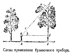 Исследовательская работа Определение высоты дерева различными физическими способами