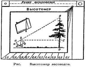 Исследовательская работа Определение высоты дерева различными физическими способами