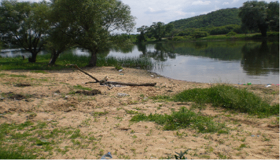 Проект «Источники антропогенных воздействий и их влияние на экологическое состояние бассейна реки Дон».