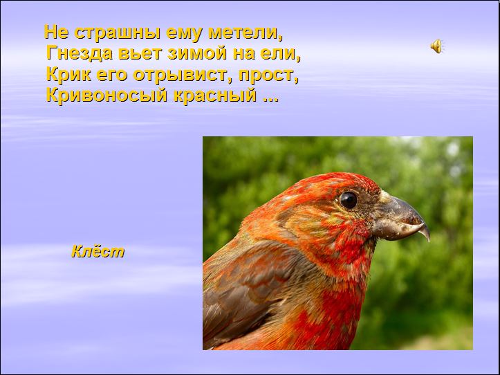 Технологическая карта урока по предмету Окружающий мир в 1 классе на тему Жизнь птиц