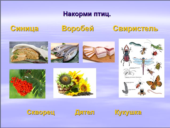 Технологическая карта урока по предмету Окружающий мир в 1 классе на тему Жизнь птиц