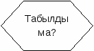 На тему Циклдік алгоритм (6 класс)