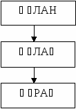 Презентация по русскому языку на тему Сызықтық алгоритм.. (9 класс)