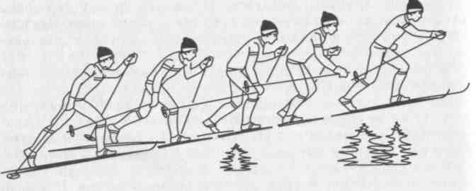 Тесты по физической культуре (лыжная подготовка)