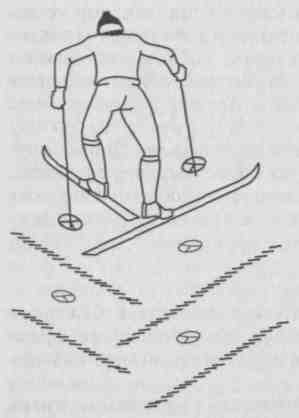 Тесты по физической культуре (лыжная подготовка)