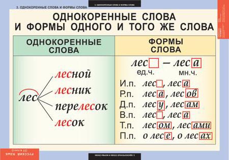 Памятка Все виды разборов по русскому языку 2-4 класс