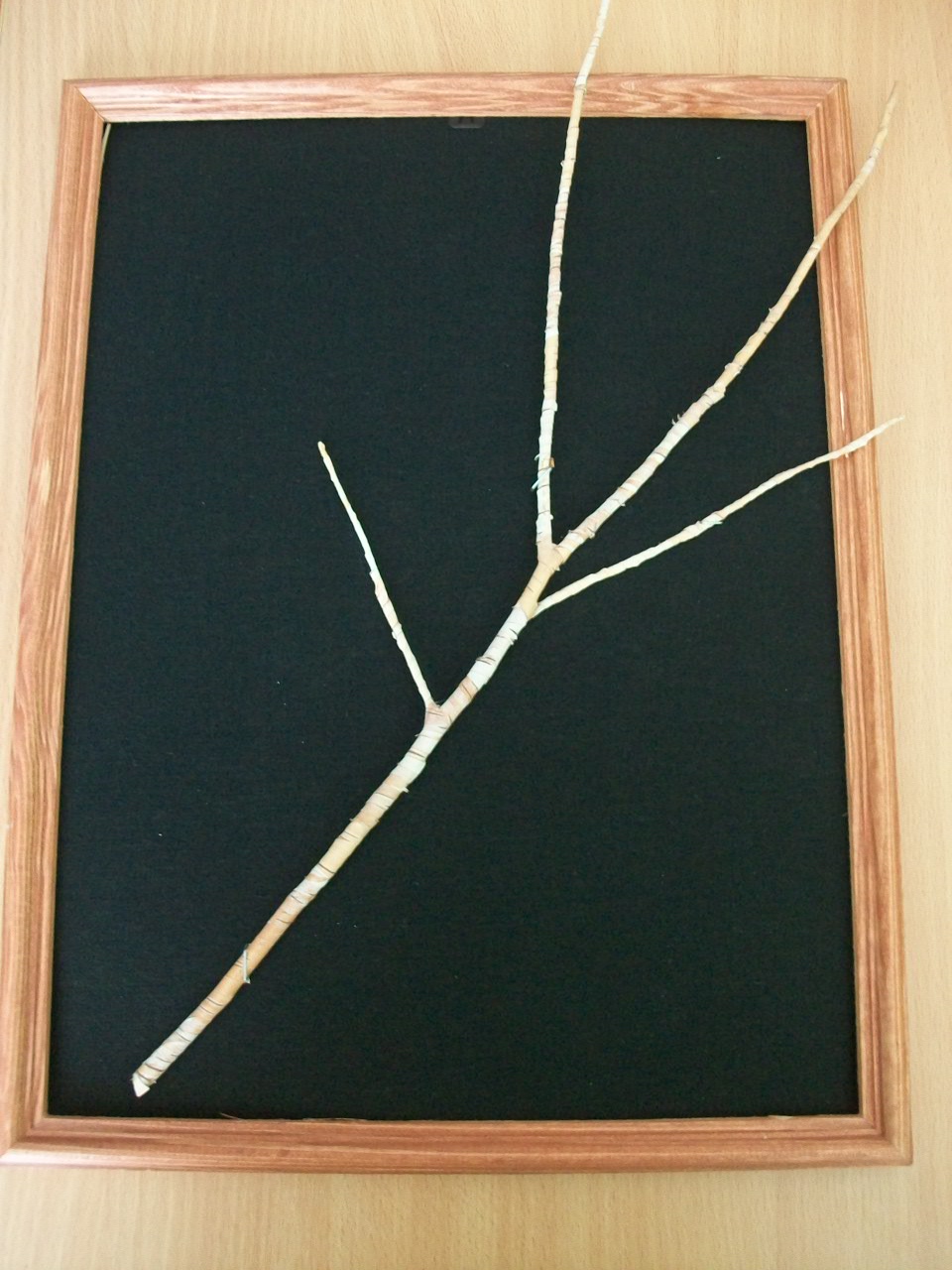 Мастер - класс по изготовлению панно в технике объемная аппликация из бересты – «Лесной подарок».