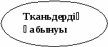 Тістің құрылыс мен қызметі 8 класс